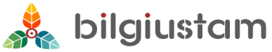 bilgiustam