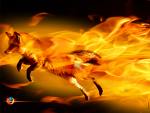 firefoks