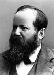 Wilhelm Steinitz Kimdir?