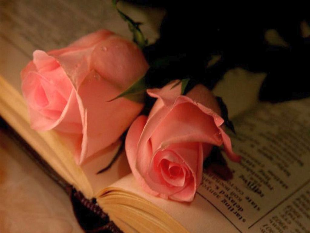 Roman Nedir?