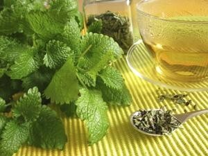 8451_300-12428698-lemon-balm