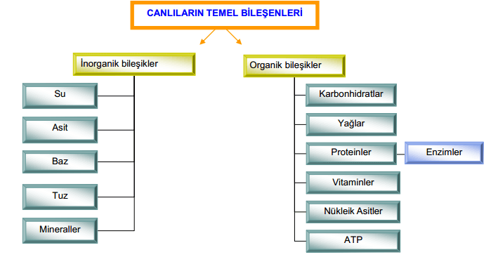 Rehberlikte Kendini Geliştirme Süreci