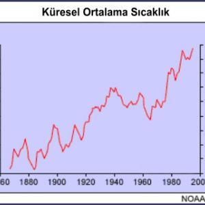 Canlılarda En İlginç 5 Savunma Mekanizması