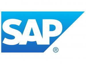 SAP Nedir?