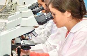 Gıda M&uuml;hendisliği Ve &Ccedil;alışma Alanları