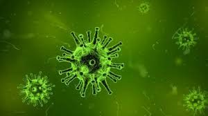 Herpes Vir&uuml;sleri Alzheimer Hastalığına Neden Olabilir Mi?