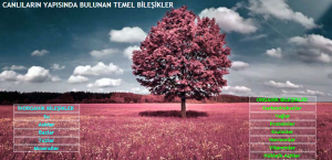Canlıların Temel Bileşenleri