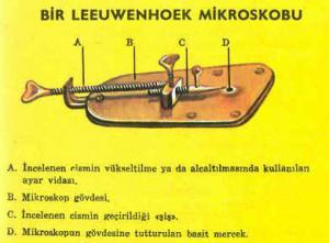 H&uuml;cre Teorisi ve H&uuml;creyi G&ouml;zleme