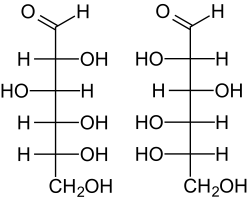 Glikoliz ve Aşamaları