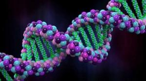 DNA Onarımı