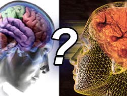 Beyin nasıl öğreniyor? Beynin öğrenme ile ilişkisi nedir?