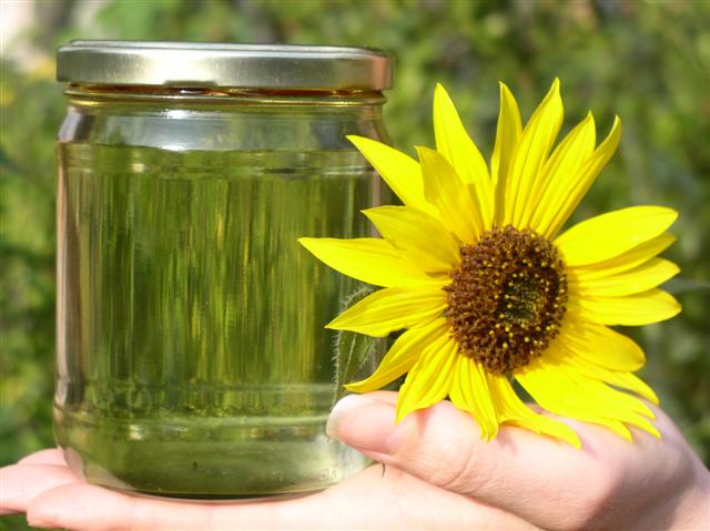 biodiesel-small.jpg