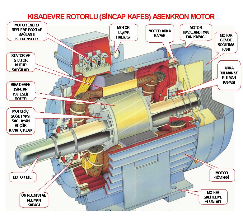 Asenkron Motor Nedir? Özellikleri Nelerdir?