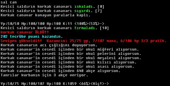 seviye seviye