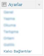 Wordpress Blogları İçin Kalıcı Bağlantı(Permalink) Seçimi