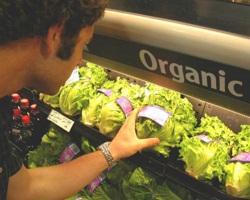 Organik Tarım Nedir? Yaşanan Sorunlar ve Çözümleri Nelerdir?