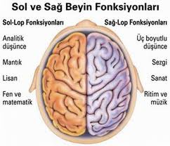 Hızlı Okuma ve Beyne Olan Yararları