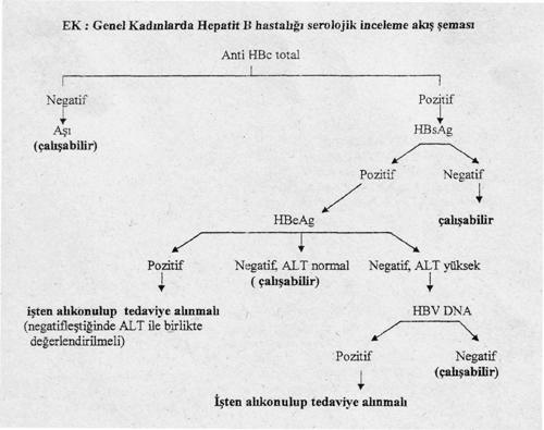 1317-bdk_sema Hepatit B Nedir? Belirtileri ve Korunma Yolları Nelerdir?