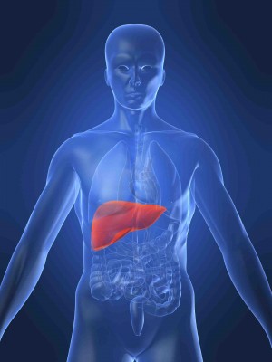 Hepatit B Nedir? Belirtileri ve Korunma Yolları Nelerdir?