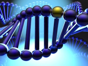 Hareketli Gen(Transposon) Nedir?