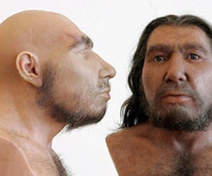 Neandertaller ve Özellikleri