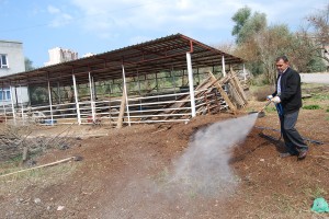 Tatarcık Humması(Tatarcık Hastalığı) Nedir? Nasıl Tedavi Edilir?