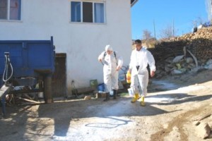 Şarbon Hastalığı(Anthrax) Nedir?