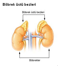 Addison Hastalığı Nedir? Belirtileri ve Tedavi Yolları Nelerdir?