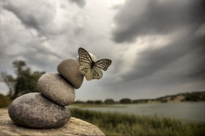 Kelebek Etkisi Nedir?