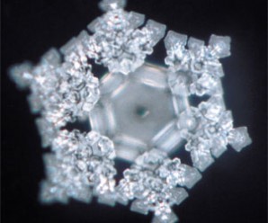 Su Kristallerinin Sırrı Nedir?