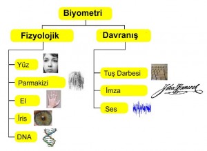 Biyometri Hayatımıza Nasıl Etki Edecek?