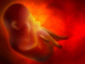 Ektopik Gebelik(Dış Gebelik) Nedir? Belirtileri ve Tedavi Yöntemleri Nelerdir?