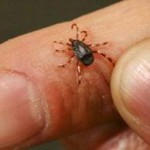 Zehirlenme Nedir? Belirtileri ve Çeşitleri Nelerdir?