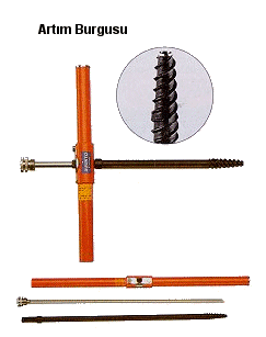3246_artimburguağaç