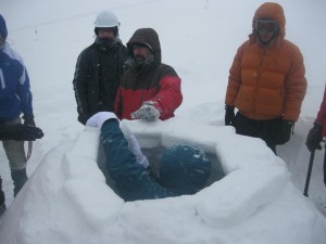 3356_iglo_n