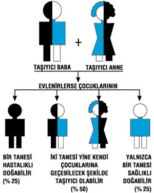 3369_akraba-evlilikleri