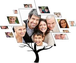aile6