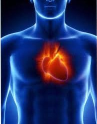 Kalbin Beden Dilindeki Önemi ve Yüzdeki Bakış Alanları
