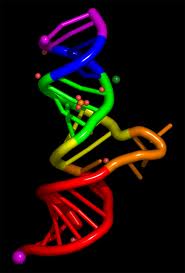 rna2