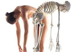 Osteoporoz (Kemik Erimesi) ve Beslenme