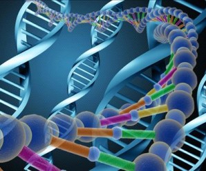 DNA Testi Nedir? Nerelerde Kullanılır?