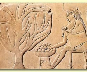 Eski Mısır Medeniyetinde Gebelik Testi, Cinsiyet Tespiti ve Doğum Kontrolü