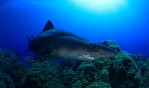 3579_img_4140blog