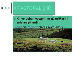 şiir2