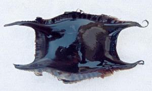 3748_balik1