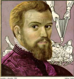 3751_vesalius04[1]