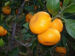 4178_images_(2)