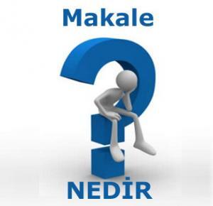 4223_makale-nedir