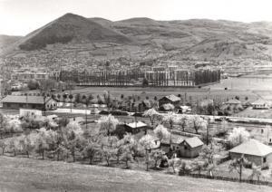 4254_bosna2