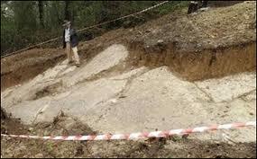 4254_bosna3